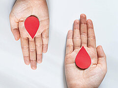 Versorgung von Hämophilie. | Copyright: Orawan - stock.adobe.com Medipolis versorgt Patienten mit Hämophilie. Copyright Orawan - stock.adobe.com